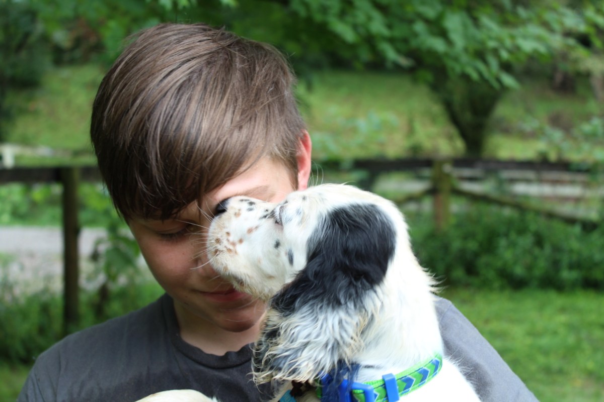 When a Friend comes over NO NEED TO&nbsp;KNOCK!