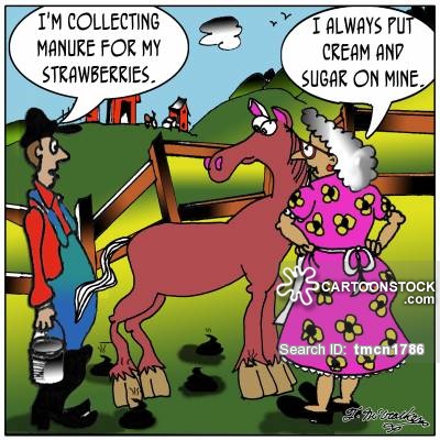 'I'm collecting manure for my strawberries.' 'I always put cream and sugar on mine.'
